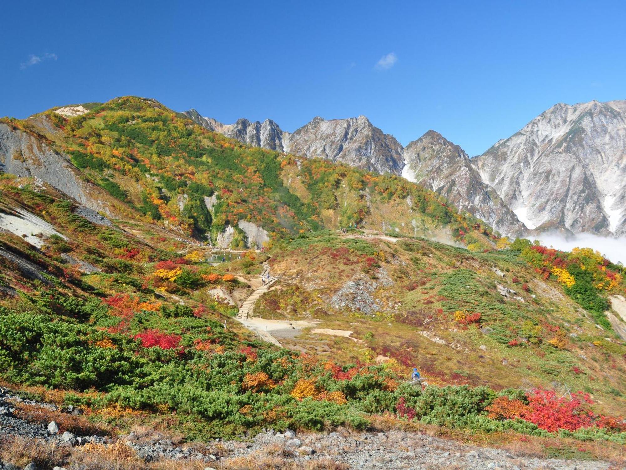 Kudo'S Lodge Hakuba Exteriér fotografie